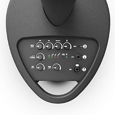 LD Systems Maui 5 Portable PA System, Black