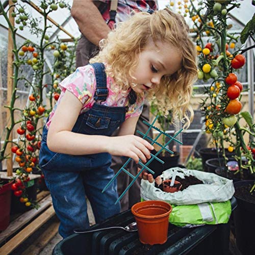 Nedyet 2 stuks tuinplanten steunkooien, klimrek outdoor plantenframe stand groeihulp voor tuin klimplanten bloemen… - Afbeelding 3