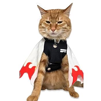 いぬ　鬼滅の刃 Cutie1「鬼滅の刃」シリーズ第2弾、《我妻善逸》＆《嘴平伊之助