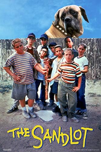 what kind of dog is on sandlot