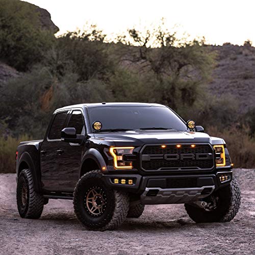 Lámpara LED antiniebla 4 pulg Rigid Industries par miniatura 4