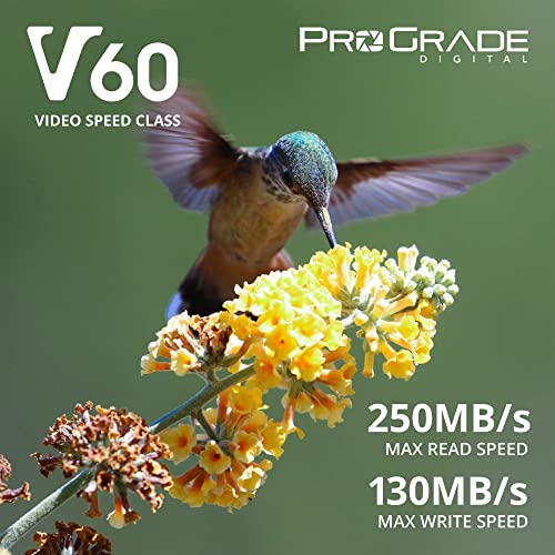 SD UHS-II 128GB Card V60 –Up to 130MB/s Write Speed and 250 MB/s Read Speed | for Professional Vloggers, Filmmakers, Photographers & Content Curators – by Prograde Digital