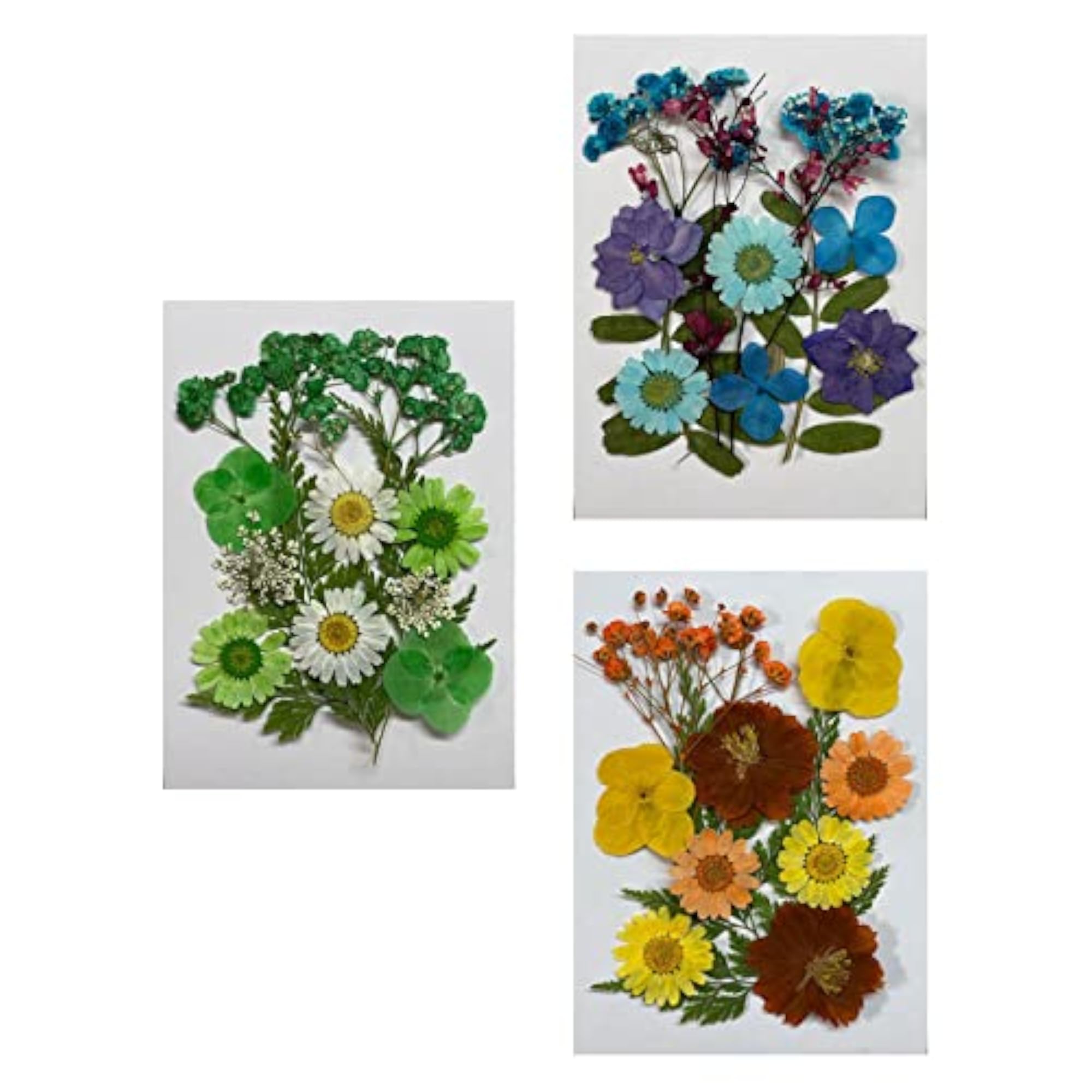 Dried Flowers Crafts Multipurpose for Table Decorations