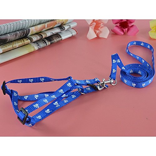 Pets Empire Pet Dog Nylon Adjustable Training Lead Leash Dog Strap Rope Traction Printed Harness Collar for Large Dogs Chest for 23-25"(58-63.cm) 1 Set Color & Print May Vary (B07CCHLZD7) Amazon Price History, Amazon Price Tracker
