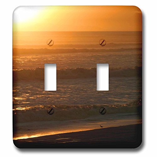 Interrupteur double Pacifique Ventura pour remplacer interrupteur blanc