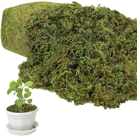YUNVI 17.6 OZ Artificial Moss for Potted Plants,Natural Fake Moss Grass Fresh Green Moss for Hamsters,Craft Moss and Greenery Bulk for Garden Wedding Decoration Cover