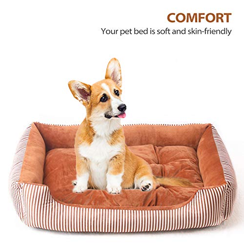 PETCUTE Letto per Cani Gatti Cucce per Cani da