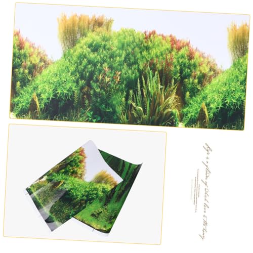 Toddmomy Fish Tank Backdrop Sticker Double Sided Aquarium Background Decor Durable Material Vibrant Colors for Creating Lifelike Displays Aquariums