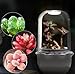 E SUPEREGROW Smart Venus Fly Trap Terrarium Pot with Timer&Fan,Succulent Planter with Grow Light,Indoor Plant Terrarium Kit for Carnivorous Plants,Sundew Moss,Cactus, for Dad (No Plant)