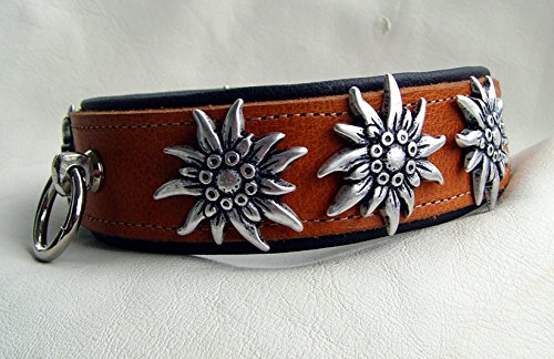 Hunde Halsband Leder Halsband 2 Farbig hell-braun-schwarz 4 cm breit für Halsumfang 46-48 cm Edelweiß