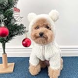 Walking Teddy Bear Costume for Dogs,Dog Teddy Bear Costume,pet Christmas Costume Outfit Set,for...