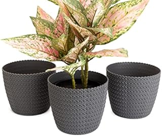 Set of 3 Plant Pots Knitted Large Small Medium Round Decorative Plastic Holder Planters Basket Flower Pot Home Garden Stand Cover Decor (Ø 14cm (5.51 inch), Creamy)