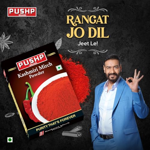 Image of Pushp Brand Kasmiri Red Chilli Powder Box (Pack of 4, 100 grams in each pack)
