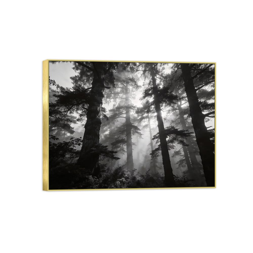 Forest Tree 10 Black White Landscape Canvas Picture 70x90cm Gold Frame