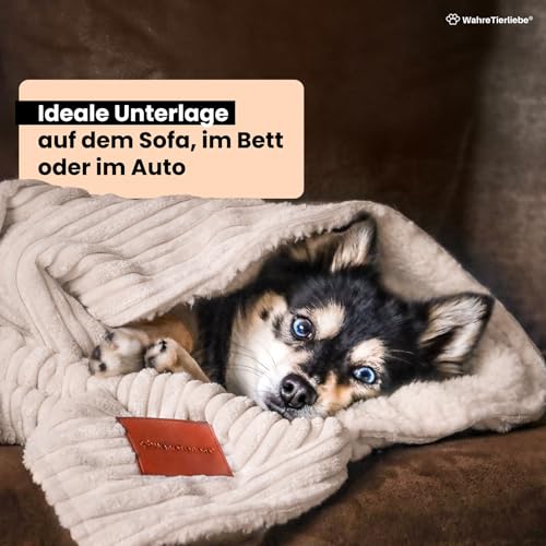 WahreTierliebe® Cozy Kuscheldecke für Hunde, Waschbar & Pflegeleicht - Idealer Überzug fürs Hundebett, Sofa, Auto & Möbel - Warmes, doppelseitiges Design