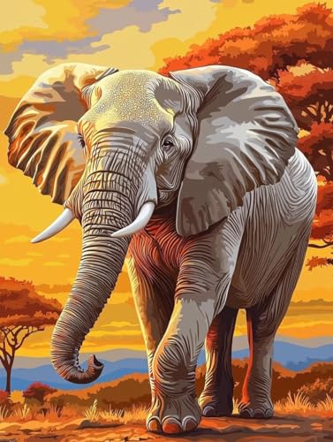 ۃyCgoCio[|p  GH|Lbgio[yCgLbgqƑl S DIYLoXA[g|ph uVƃANG̋ ƒ̕Ǒ t[Ȃ30x40cm -1439