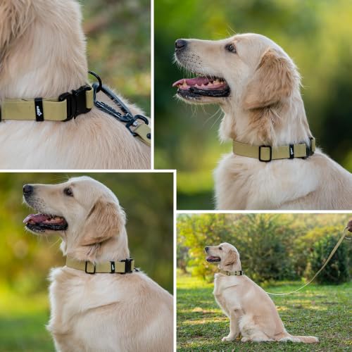 Image of Adil's Biothane Waterproof Dog Collar, Dog Leash & Collar Leash Combo | Heavy Duty TPU Coated Webbing | Adjustable Quick Release Buckle | Odour Resistant (Lemon Green, M-18, Collar & Leash Combo)