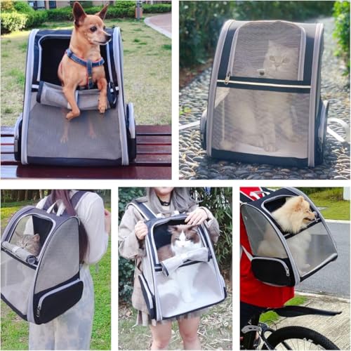 Image of Cat Backpack Carrier, Breathable Cat Carrier Pet Backpack for Kitty Small Dog Up to 15Lbs, Transparent & Foldable Pet Carrier for Travel Hiking (Expendable Black)