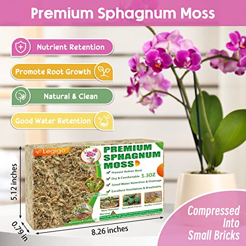 Legigo 150g Premium Sphagnum Moos - ergibt 7L Spagnummoos für Pflanzen – Ansicht 2