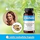 Schachtelhalmkraut Kapseln – 100 Stück mit 250 mg Equisetum arvense Extrakt von BIOHERBA PZN 19641919