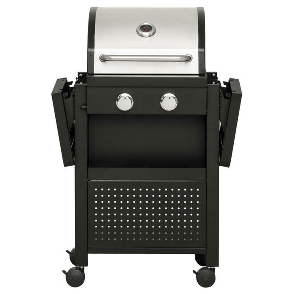 Barbecue a Gas Professionale Acciaio Inox 2 Fuochi con Termometro e Ruote Bloccabili
