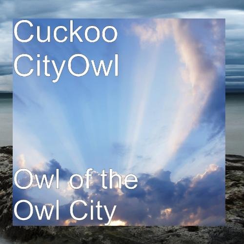 Cuckoo CityOwl Owl of the Owl City Music