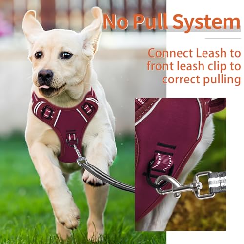 Image of HEELE Dog Harness for Small Dogs No Pull Dog Vest Harness for Small Dog with Soft Padded Handle Reflective for Outdoor Training, Burgundy Red, S