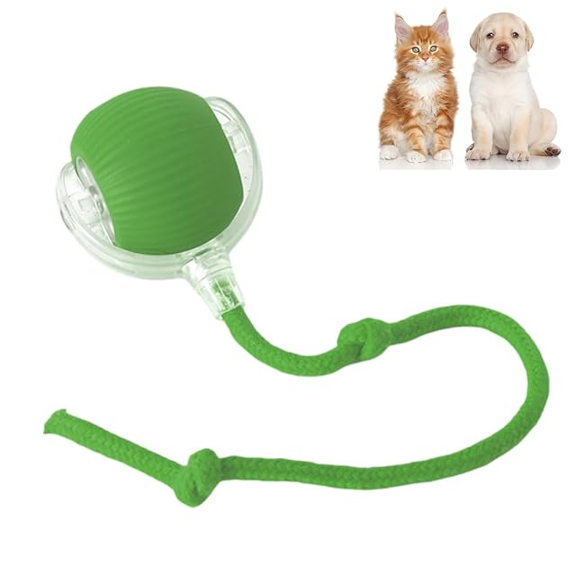 heofonm Rolling Ball Dog Toy, Interactive Rolling Dog Ball, Automatic Rolling Ball for Dogs & Cat