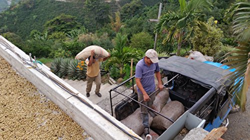 Café Colombia en Grano, Tostado Medio, 1 lb miniatura 4