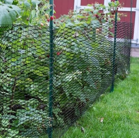 Garden Bird Netting for Plants and Fruit Bushes, Green | Crop Protection, Pest Barrier Net, Outdoor Garden Use, Lightweight Mesh, Easy to Install-image-33