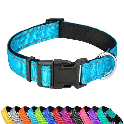 Collar reflectante para perro talla S color teal