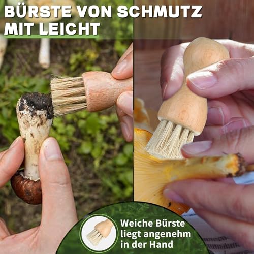 Foto von DRGSKL Tragbares Pilzmesser Set Taschen-Klappmesser mit Bürste und Schwarz Tasche für Garten Outdoor Ernte Geschenk