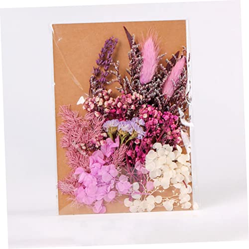 Kit de Flores Secas DIY para Manualidades y Decoración miniatura 6