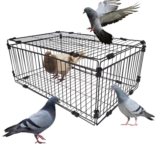 DSQSTMR Bird Trap Cage Pigeon Quail Chicken Outdoor Trapping Live Small Bird Trap