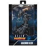 AVP Alien VS Predator Game 7