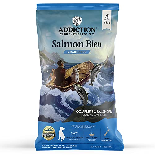 10 Best Omega 3 Rich Dog Foods to Keep Your Furry Friend Healthy and ...