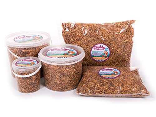Chubby Mealworms Dried River Shrimp