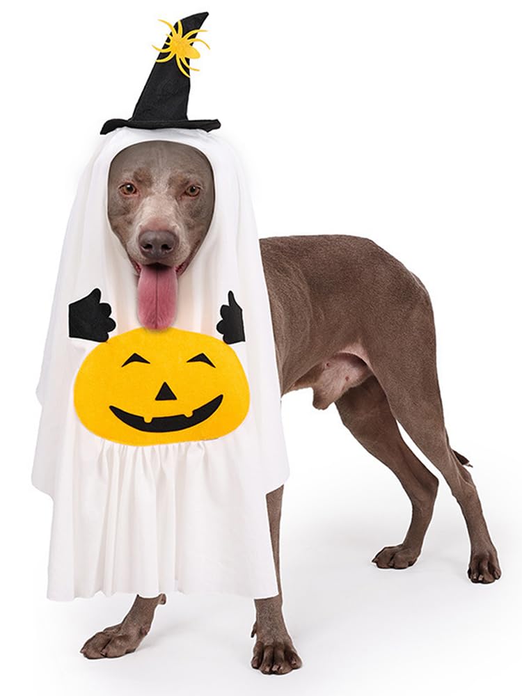 ぶんちゃん、ハロウィン仮装♥️ベッドドレス、わんちゃん猫ちゃん用 かぼちゃ ハロウィン 被り物 わんちゃん・ねこちゃん ペット服