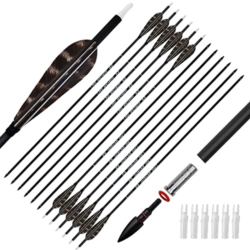 Our Best carbon arrows [Top 20 Picks] Maine Innkeepers Association