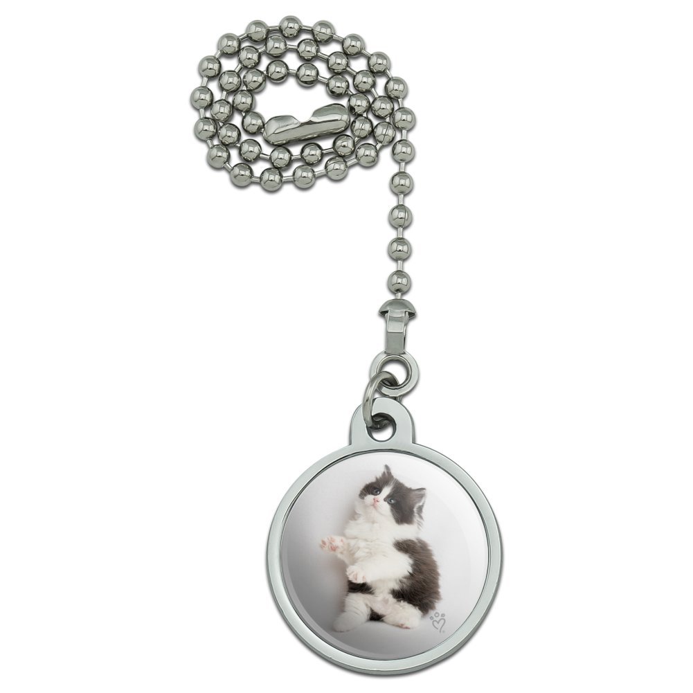 Graphics and More Persian Kitten Cat Black White Ceiling Fan and Light Pull Chain