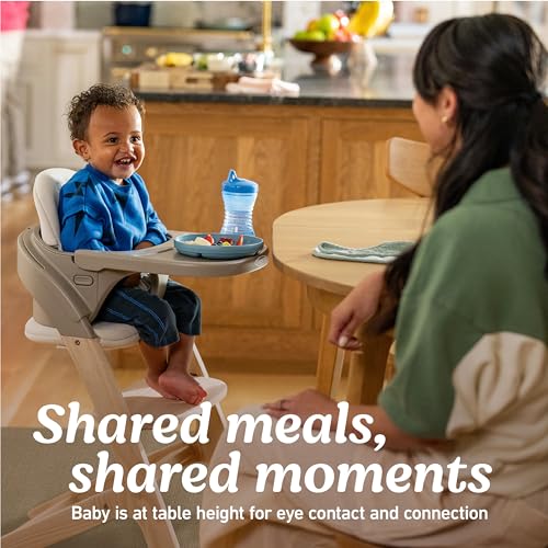 Image of Graco Close2Baby 2-in-1 Highchair & Toddler Youth Stool
