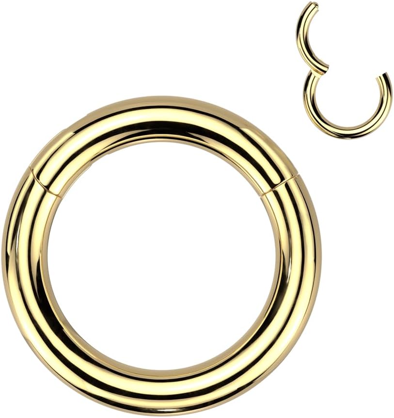 Pierced Owl 12GA-8GA Large Gauge F136 Implant Grade Titanium 10mm Diameter Hinged Segment Clicker Ring - Image 2