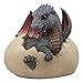 Ebros Large Nightfury Baby Dragon Hatchling in Egg Statue 10
