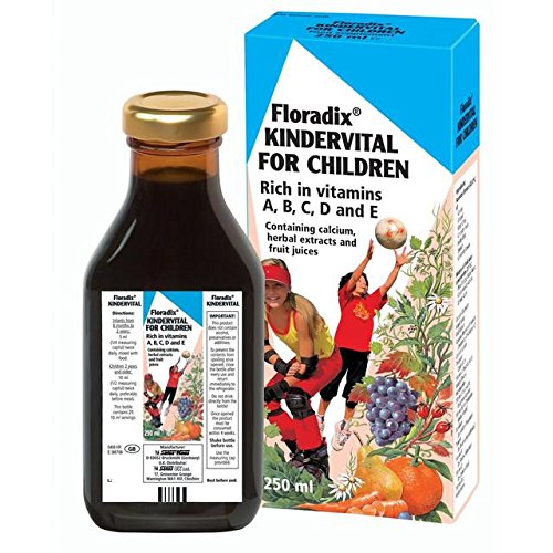 Preisvergleich Produktbild Floradix Kindervital Multivit für Kinder 250ml