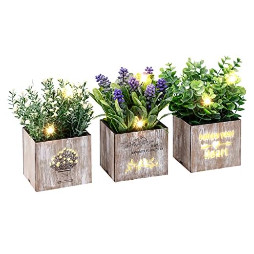 Kinkota Artificial Plants & Flowers with Nightlight, Potted Fake Plants for Home Decor Indoor, Greenery Tabletop Centerpieces for Office Room Decoration, Realistic and Cute Desk Decor for Gift, 3 Pack