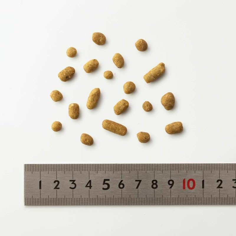 Amazon.co.jp: ドットわん 鶏ごはん 500g ドッグフード 国産 無添加