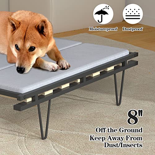 Expandable Elevated Dog Bed, Washable Dog Couch Sofa With Removable Cover For Small Medium Large Dogs, Memory Foam Raised Dog Bed, 2 Different Size Are Choiceable, Strong Metal Frame, 36.5X29X10In #TOP4