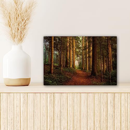 MuchoWow© Quadro su Tela 30x20 cm Stampe da Parete...