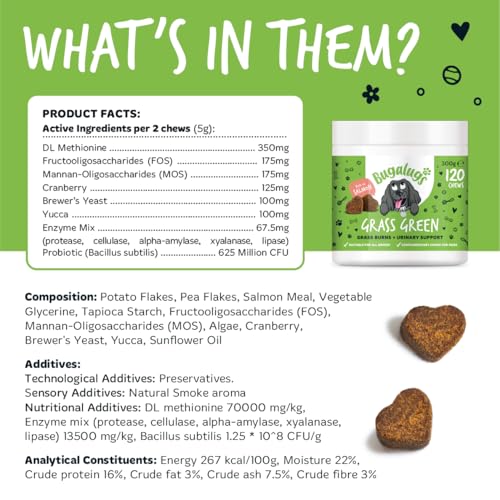 Bugalugs Grass Green Dog Supplement Chews helps support Dog Urine Neutraliser for Grass Burn with Cranberry that helps Urinary & Gut Health, Rich in Salmon, 120 Chews - 7