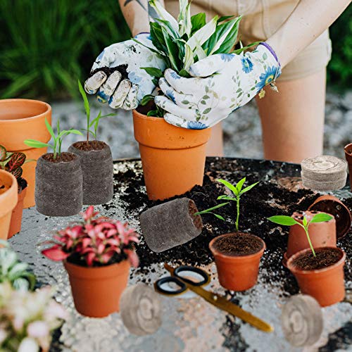 Zeedix 100 Pcs 30Mm Peat Pellets Seed Starter Soil Pods Plugs For Vegetable, Seedling Soil Block Compressed Peat Nutrient Seed Pods For Planting Easy Transplant With 100 Plant Labels & 2 Garden Tools #TOP5